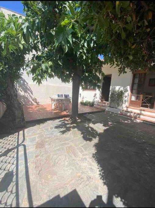 Maison Proche Plage Кане Екстериор снимка